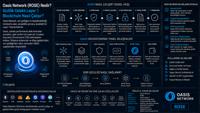 Oasis Network (ROSE) Nedir? Gizlilik Odaklı Layer 1 Blockchain Nasıl Çalışır?